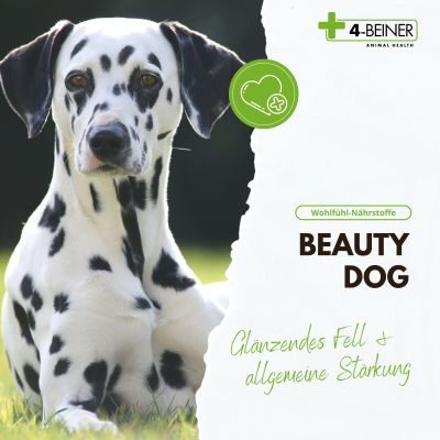 Thumbnail 6: 4-Beiner 4-BEINER BEAUTY-DOG - Nahrungsergänzung - Futterergänzung für Hunde
