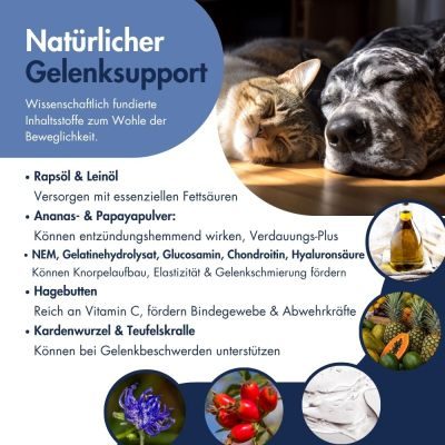 Thumbnail 4: Dr.Clauder’s Gelenk Paste 100g