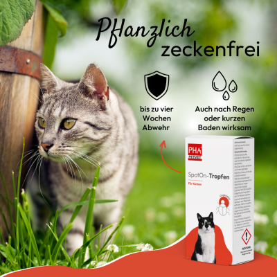 Thumbnail 4: PHA PetVet - PHA Spot-onTropfen für Katzen 2 x 1,5 ml - Parasitenschutz - zur äußerlichen Anwendung