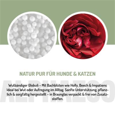 Thumbnail 5: ALPHAZOO Wutbändiger Bachblüten