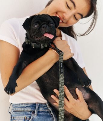 Thumbnail 3: CAFIDE Recyceltes PET-Halsband, Juno