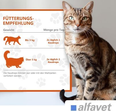 Thumbnail 2: alfavet FeliGum Dia 40 g