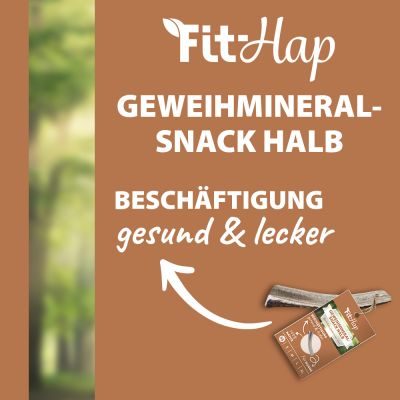 Thumbnail 4: Fit-Hap Geweihmineral-Snack halb XL (160-250 g) – Natürlicher Kausnack aus Abwurfstange für Hunde
