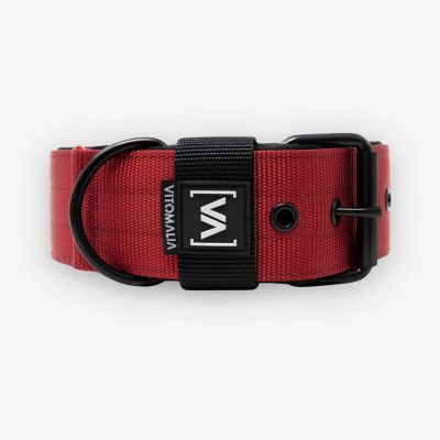 Thumbnail 4: Vitomalia VitomaliaKlassisches Hundehalsband mit abstehender Innenfütterung - Nero Bordeaux