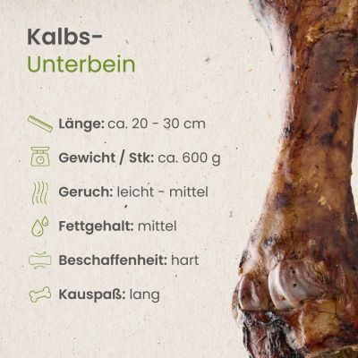 Thumbnail 3: kauartikel.com Kalbs-Unterbein - Hunde-Kauartikel - Hunde-Snack - Kausnack - Kälber-Leckerli  (Rind)