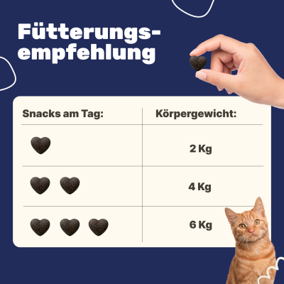 Thumbnail 7: Patsli Nahrungsergänzung für Katzen mit Arthrose und eingeschränkter Beweglichkeit