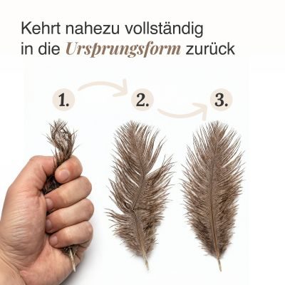 Thumbnail 2: SCHLITZOHR Katzenangel Ersatzfedern 5er Strauß