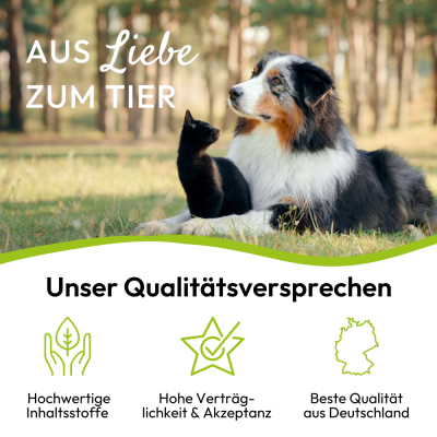 Thumbnail 4: PHA PetVet - PHA GelenkVital für Hunde & Katzen 150 g - natürliche Inhaltsstoffe plus Vitamine zur Unterstützung von Beweglichkeit & Mobilität