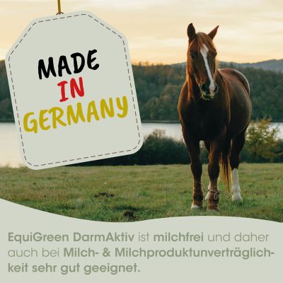 Thumbnail 6: cdVet EquiGreen DarmAktiv 1 L - Natürlich fermentiertes Ergänzungsfuttermittel für die Pferdes Darmflora