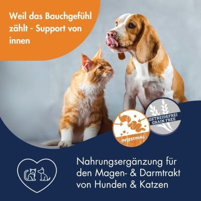 Thumbnail 3: Dr.Clauder´s Magen-Darm Emulsion 150g 150g