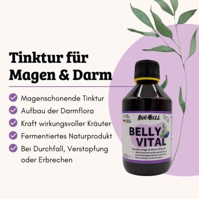 Thumbnail 5: BugBell DarmAktiv