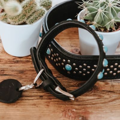 Thumbnail 10: HUNTER Halsband Madona M-L (60), schwarz