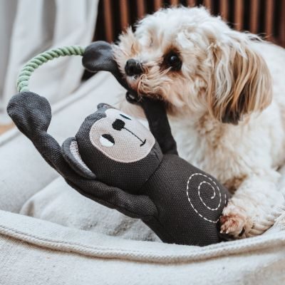 Thumbnail 3: HUNTER Hundespielzeug Rio Affe mit Tau 40 cm