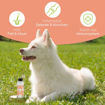 Thumbnail 18: Wolfsbacher Natur Natürliches Lachsöl für Hunde & Katzen 250ml