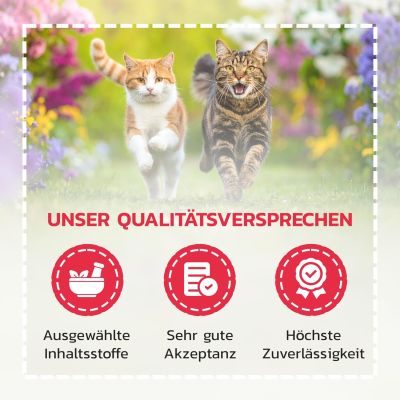 Thumbnail 4: LiquidoCare Appetitanreger für die Katze - hochkalorisches Tonikum mit Vitaminen & Taurin – für schlecht fressende Katzen, leicht verdaulich & schmackhaft 180 ml