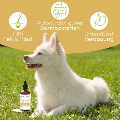 Thumbnail 2: Wolfsbacher Natur Bio Bierhefe 100ml