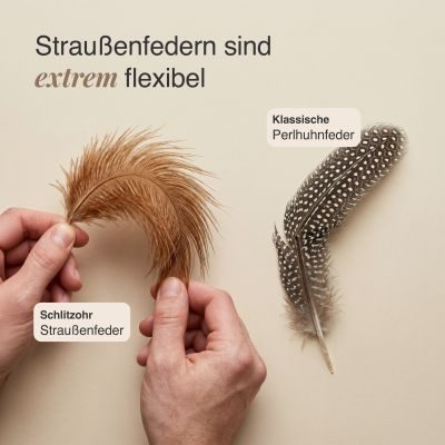 Thumbnail 4: SCHLITZOHR Katzenangel Ersatzfedern 5er Strauß