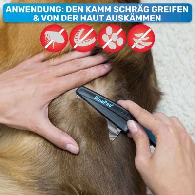 Thumbnail 6: BluePet Flohkamm & Flohkarte gegen Flöhe - Alternative zu Flohmittel, Nissenkamm - schonend Läuse, Nymphen & lose Zecken herauskämmen durch feine, enge Zinken