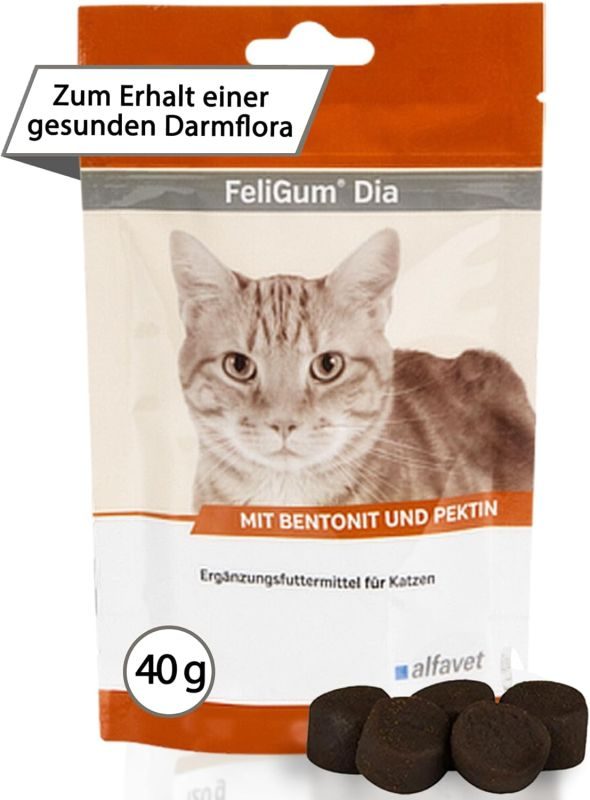 alfavet FeliGum Dia 40 g