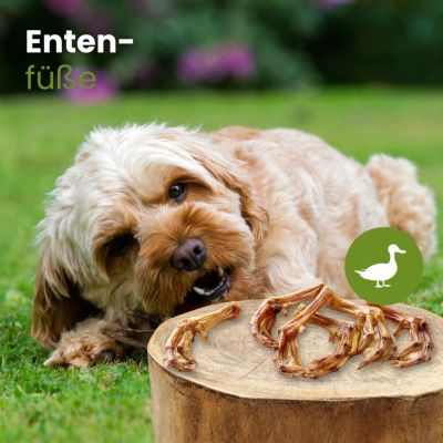 Thumbnail 2: kauartikel.com Enten-Füsse - Hunde-Kauartikel - Hunde-Snack - Kausnack - Leckerli von der Ente