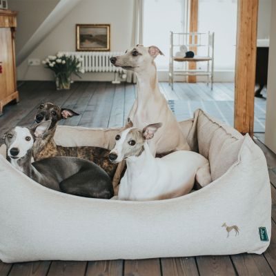 Thumbnail 5: HUNTER Hundesofa Livingston L (100 x 75 cm), beige