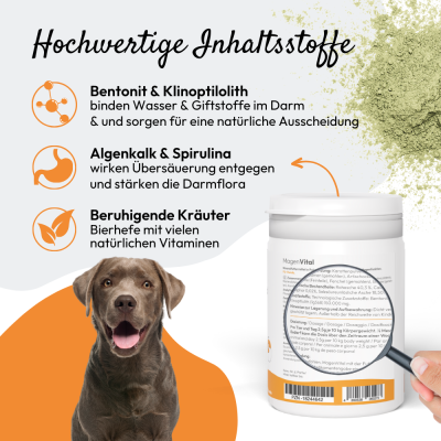 Thumbnail 1: PHA PetVet - PHA MagenVital für Hunde, 200 g - Mineralfuttermittel, Pulver. Für eine ausgeglichene Magenfunktion.