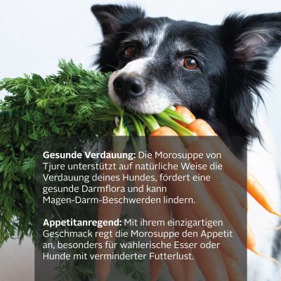 Thumbnail 7: TJURE TJURE - "Moro´sche Möhrensuppe" - 10+2 | bei Durchfall oder Magen Darm Probleme