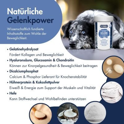 Thumbnail 5: Dr.Clauder´s Gelenk Support Pulver 500g
