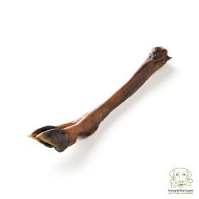 kauartikel.com Hirsch-Vorderbein - Hunde-Kauartikel - Hunde-Snack - Hypoallergen-Kausnack - Wild-Leckerli