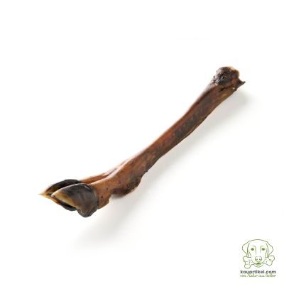 Thumbnail 1: kauartikel.com Hirsch-Vorderbein - Hunde-Kauartikel - Hunde-Snack - Hypoallergen-Kausnack - Wild-Leckerli