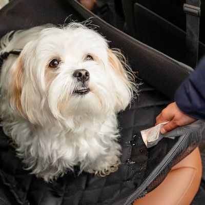 Thumbnail 4: Rudelkönig Hundesitz für Auto Rücksitz, Autositz für Hunde