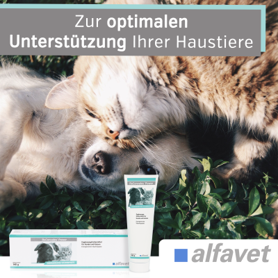 Thumbnail 1: alfavet ReConvales Power 140 g