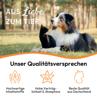 Thumbnail 4: PHA PHA GastroPaste für Hunde - 100 ml - Nahrungsergänzung - Futterergänzung