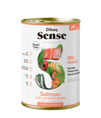 Dibaq Sense Nassfutter getreidefrei Lachs 380g