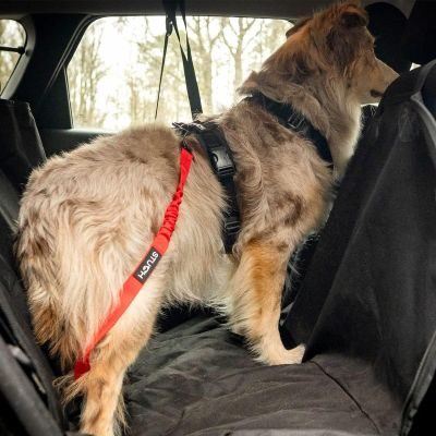 Thumbnail 2: STUCH Autogurt universell - Flieder