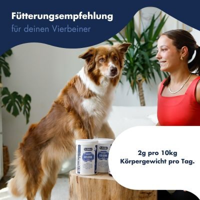 Thumbnail 8: Dr.Clauder’s Gelenk Support Pulver 500g