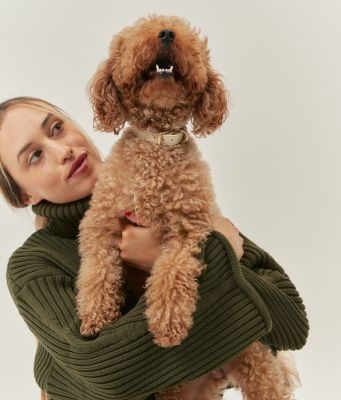 Thumbnail 5: CAFIDE Hundehalsband aus Veganem Leder, Jala