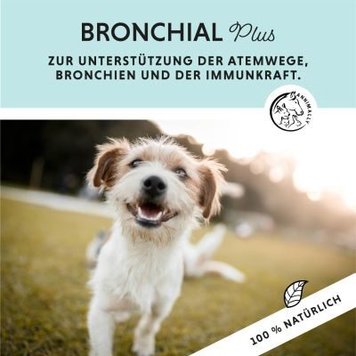 Thumbnail 2: annimally Bronchial Plus