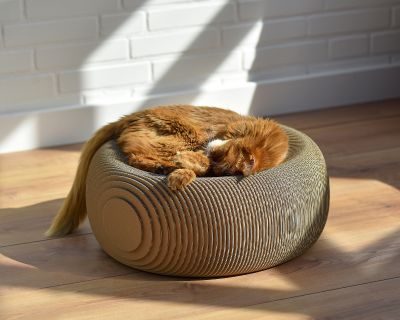 Thumbnail 3: cat-on LE PLOUFF Katzenkorb – rundes Design-Kratzmöbel