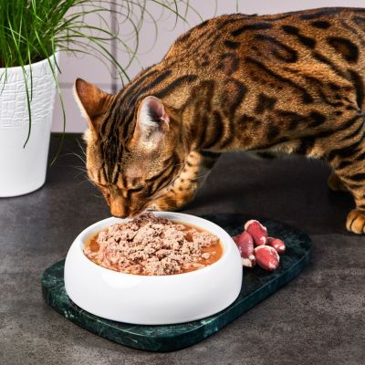 Thumbnail 3: Lucky-Kitty Katzenfutter Hühnerherzen Premium-Qualität 15 x 200 g