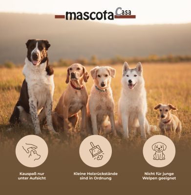 Thumbnail 1: mascota casa Cocoball Kauspielzeug für Hunde aus Kokosseil, unterstützt die Zahngesundheit, ab 20 kg