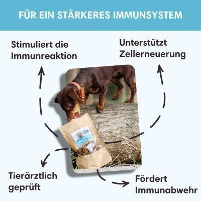 Thumbnail 5: Sollis Hundeleckerli ohne Getreide & fördernd für das Immunsystem 80 g