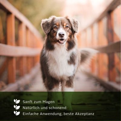 Thumbnail 1: TJURE TJURE - Ulmenrinde Liquid - 1.000 ml | Naturkraft für ein gutes Bauchgefühl