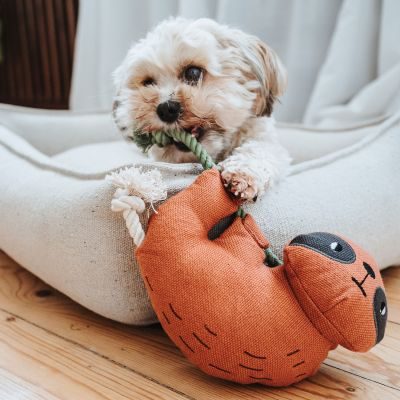 Thumbnail 2: HUNTER Hundespielzeug Rio Faultier mit Tau 30 cm