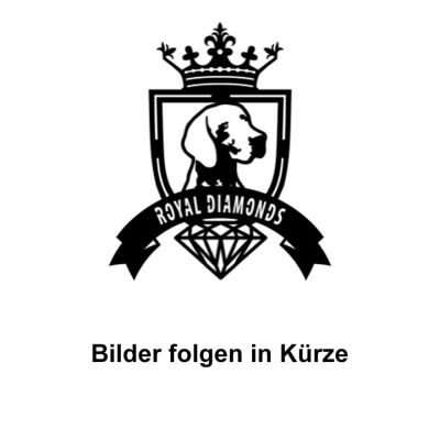 Royal Diamonds Royal Diamonds Hühnerfüße 250g