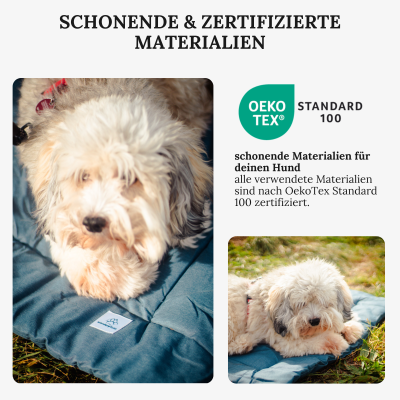 Wanderpfote Hundedecke für Unterwegs, 110 x 80cm – Waschbar, Orthopädisch, Wasserdicht – Hochwertiges Design – Hundedecke Outdoor