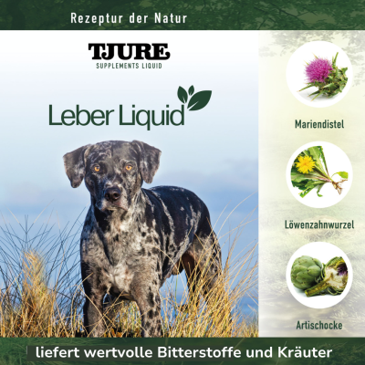 Thumbnail 2: TJURE TJURE - Leber Liquid - 500 ml | liefert deinem Hund wertvolle Bitterstoffe und Kräuter