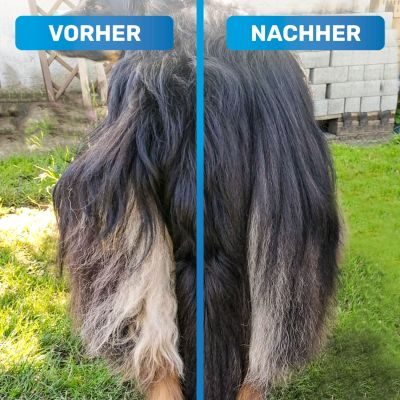 Thumbnail 2: BluePet Fellentwirrer Striegel für Langhaar Hunde & Katzen, zwei Reihen feste Pins - Entfilzungskamm, Unterwollrechen: glättet & entwirrt langes Fell & Knoten
