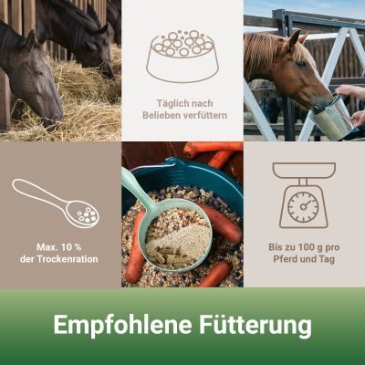 Thumbnail 6: PANTO PANTO Mineral Bits 16mm