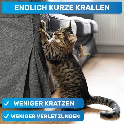 Thumbnail 3: BluePet Krallenschere Mini für Katzen, Welpen, kleine Hunde, Kaninchen & Kleintiere, kleiner Krallenschneider, Nagelschere, Krallenpflege